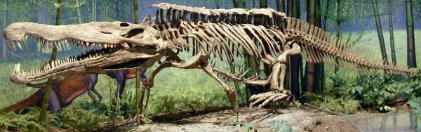 Mounted skeleton of a Redondasaurus at the Carnegie Museum of Natural History
